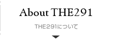 THE291について